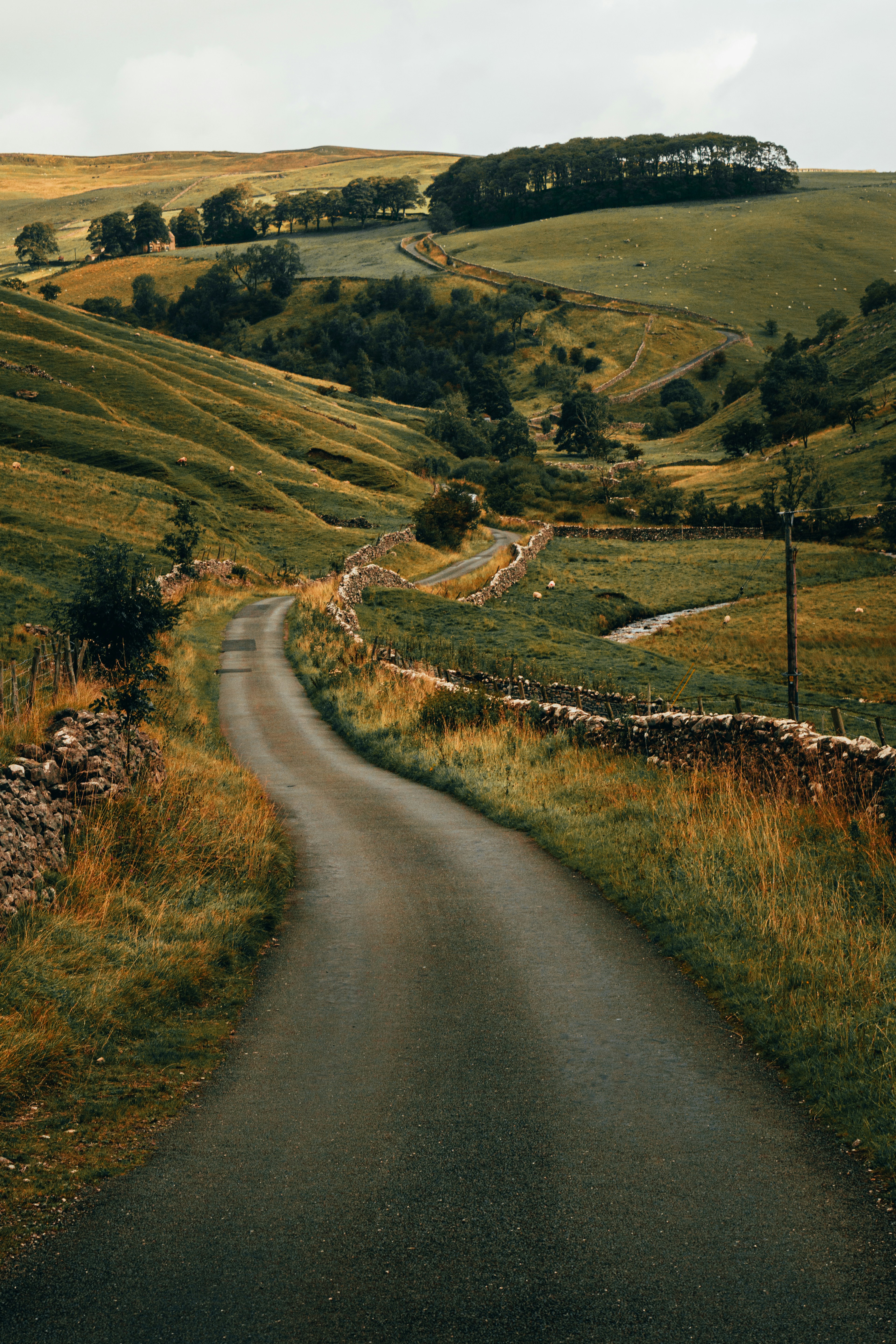 The Yorkshire Dales, a cyclist's paradise!